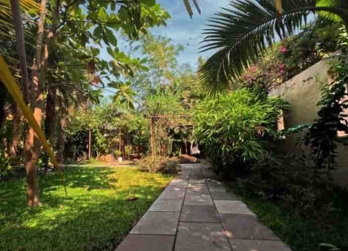 garden-view-green-palm-alibag